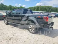 2011 Ford F-150 photo