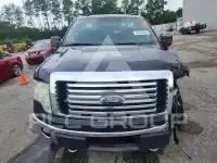 2011 Ford F-150 фото