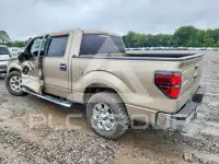 2011 Ford F-150 photo