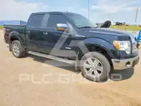 2011 Ford F-150 photo