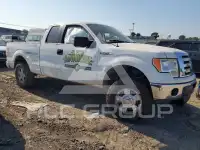 2011 Ford F-150 photo