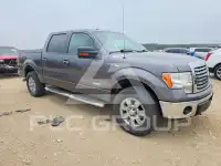 2011 Ford F-150 photo