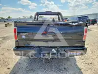 2011 Ford F-150 photo
