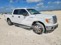 2011 Ford F-150 photo