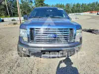 2011 Ford F-150 photo
