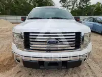 2011 Ford F-150 photo
