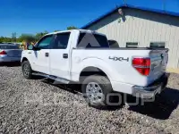2011 Ford F-150 фото