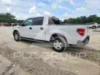 2011 Ford F-150 photo