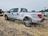 2011 Ford F-150 photo