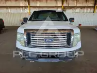2011 Ford F-150 photo