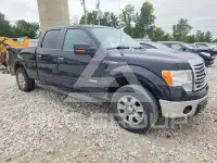 2011 Ford F-150 фото