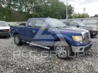 2011 Ford F-150 photo