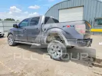 2011 Ford F-150 photo