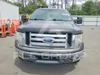 2011 Ford F-150 photo