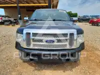 2011 Ford F-150 photo