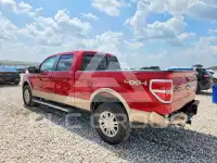 2011 Ford F-150 photo