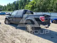 2011 Ford F-150 photo