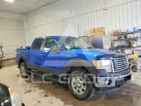 2011 Ford F-150 фото