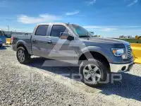 2011 Ford F-150 photo