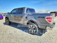 2011 Ford F-150 photo