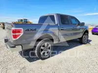 2011 Ford F-150 photo