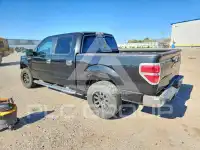 2011 Ford F-150 photo