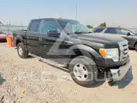 2011 Ford F-150 фото