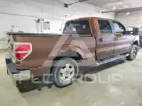 2011 Ford F-150 photo