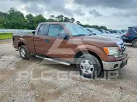 2011 Ford F-150 photo
