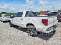 2011 Ford F-150 photo