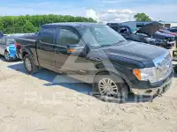 2011 Ford F-150 photo