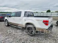 2011 Ford F-150 photo