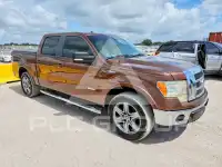 2011 Ford F-150 photo