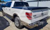 2011 Ford F-150 photo
