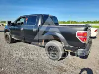 2011 Ford F-150 photo