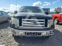 2011 Ford F-150 photo