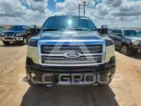 2011 Ford F-150 photo