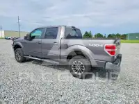 2011 Ford F-150 photo