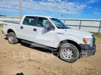 2011 Ford F-150 фото