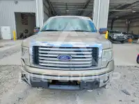 2011 Ford F-150 photo