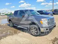 2011 Ford F-150 фото