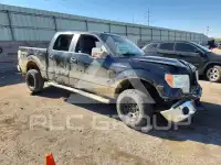 2011 Ford F-150 photo