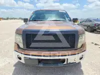 2011 Ford F-150 фото