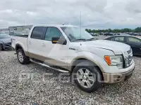 2011 Ford F-150 photo
