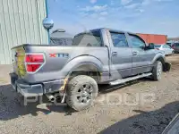 2011 Ford F-150 photo