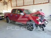 2011 Ford F-150 photo