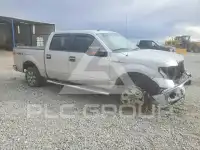 2011 Ford F-150 photo