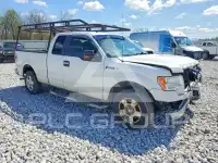 2011 Ford F-150 photo