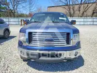 2011 Ford F-150 фото