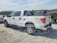 2011 Ford F-150 photo
